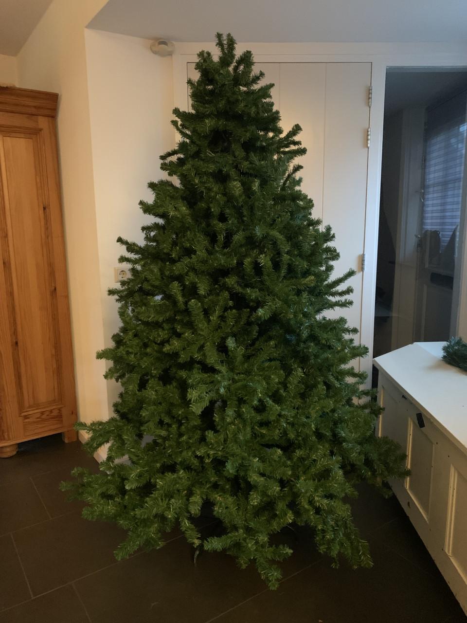 Kerstboom ong 2 meter Intratuin