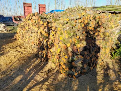 Perenhout voor zelf te klieven.