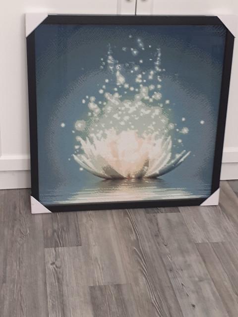 DIAMOND PAINTING INGELIJST 50 x 50 cm.