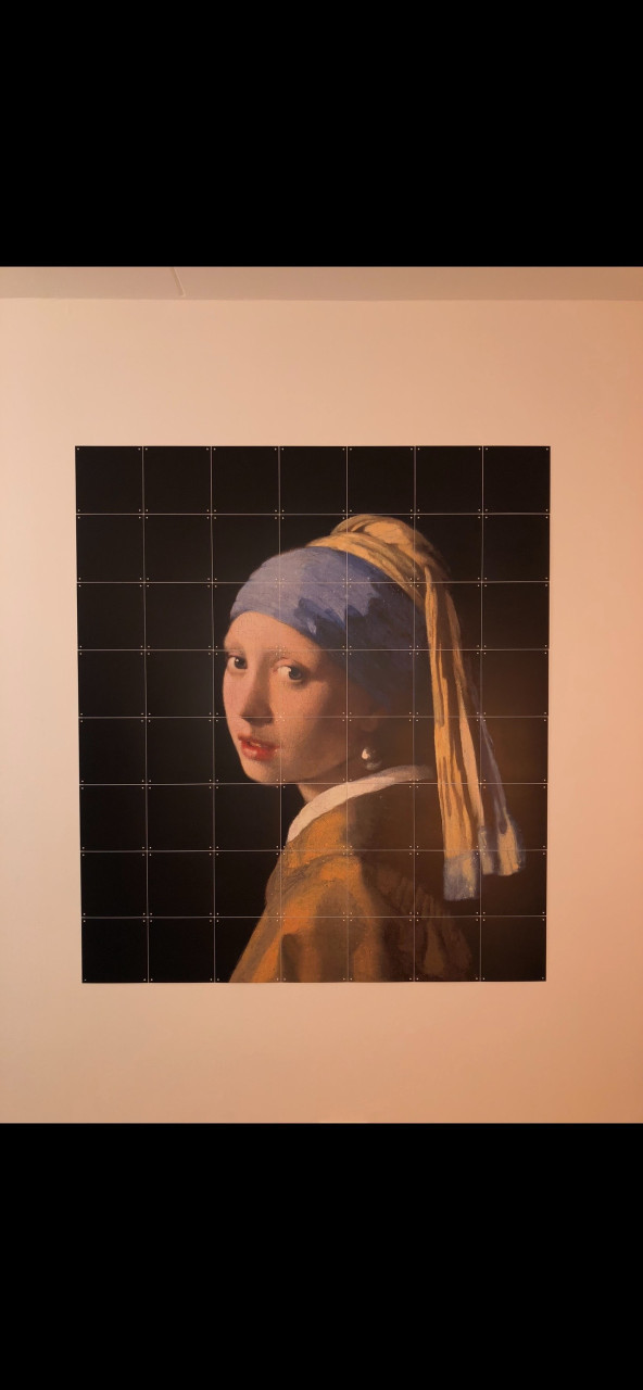 IXXI Meisje met de parel 140x160