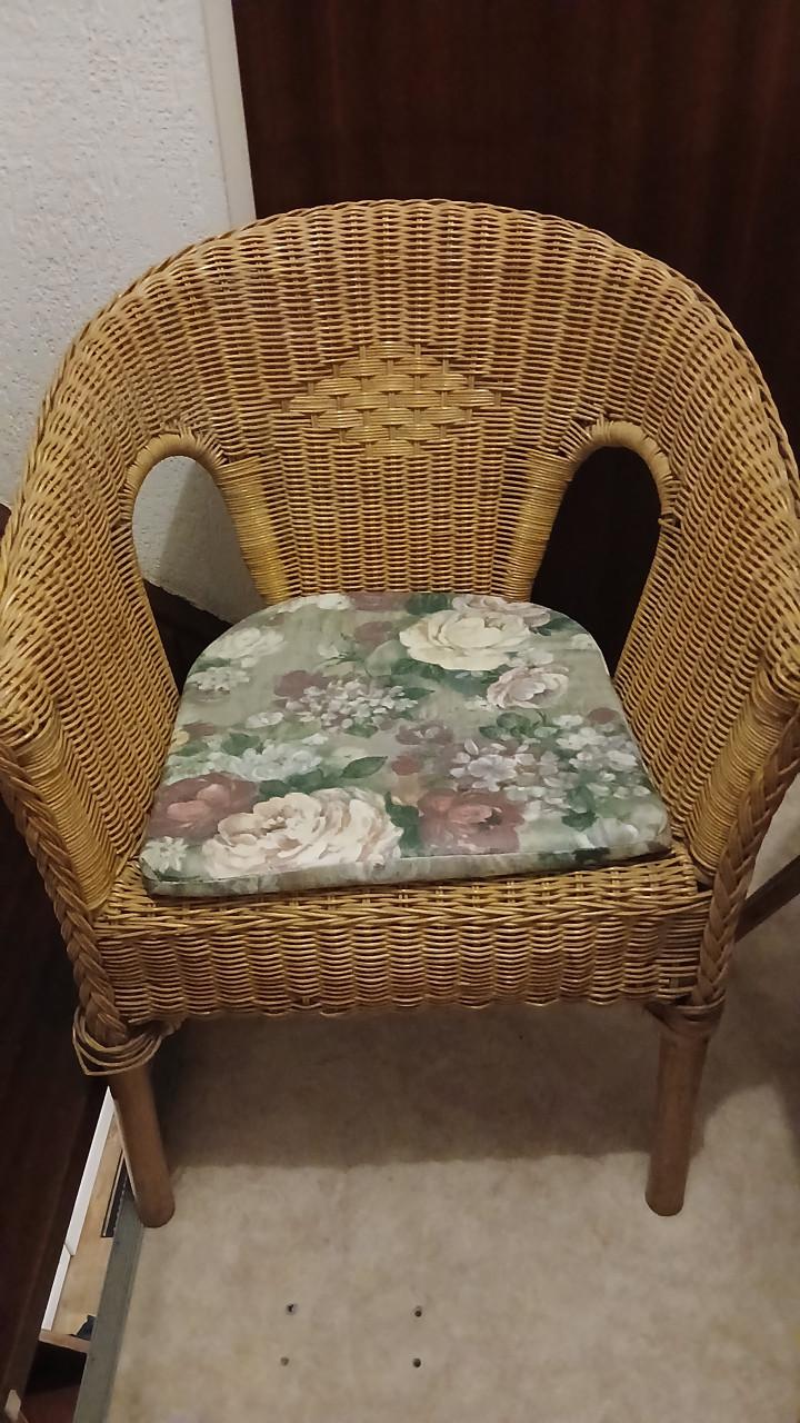 Rieten stoel rotan stoelen 2 stuks met kussentjes extra zitplaats