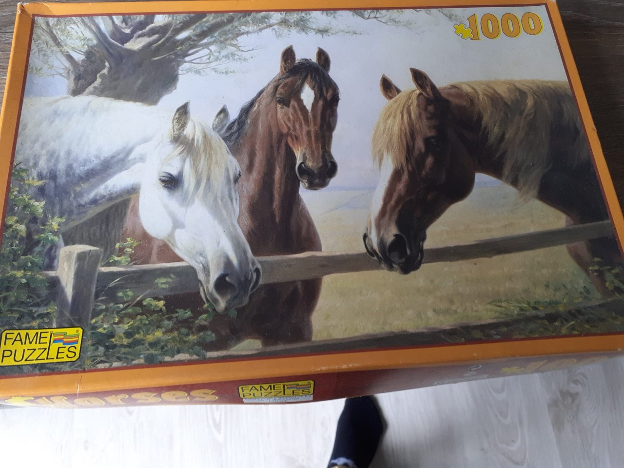 Paarden weetjes kwartet, leesboek en puzzel
