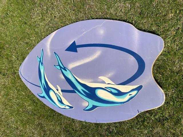 Skimboard / Bodyboard