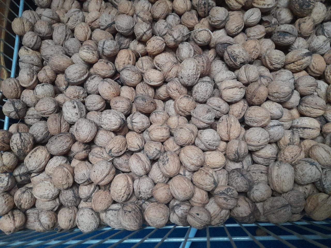 Walnoten biologisch