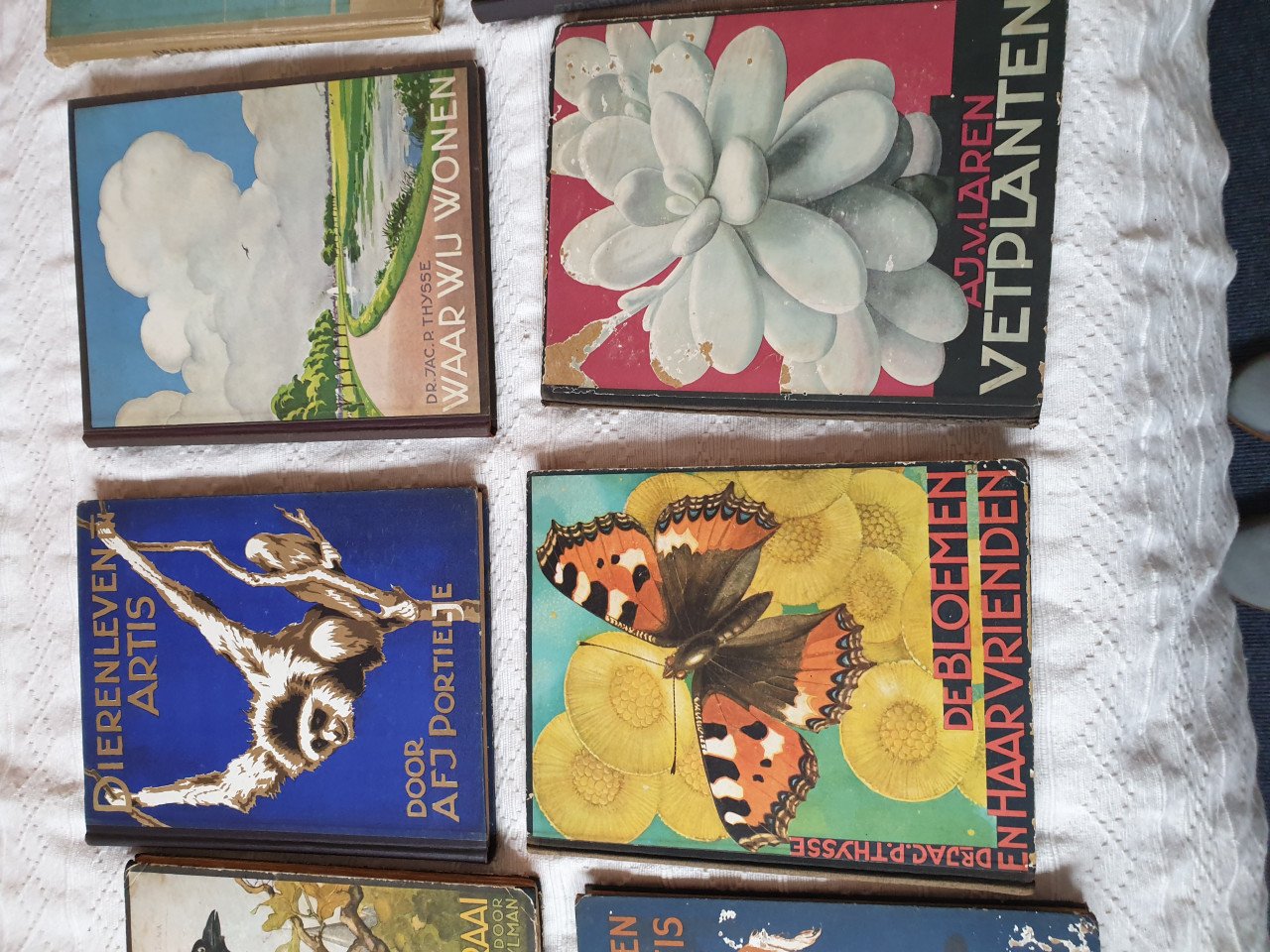 Verkade-albums 12 stuks