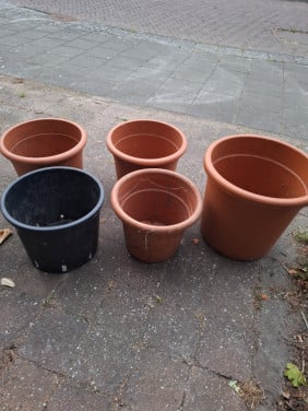 Grote Bloempotten