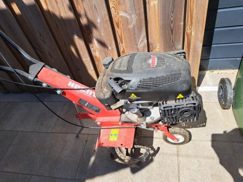 Tuinfrees