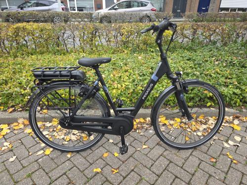 Schitterende Pegasus met Bosch middenmotor