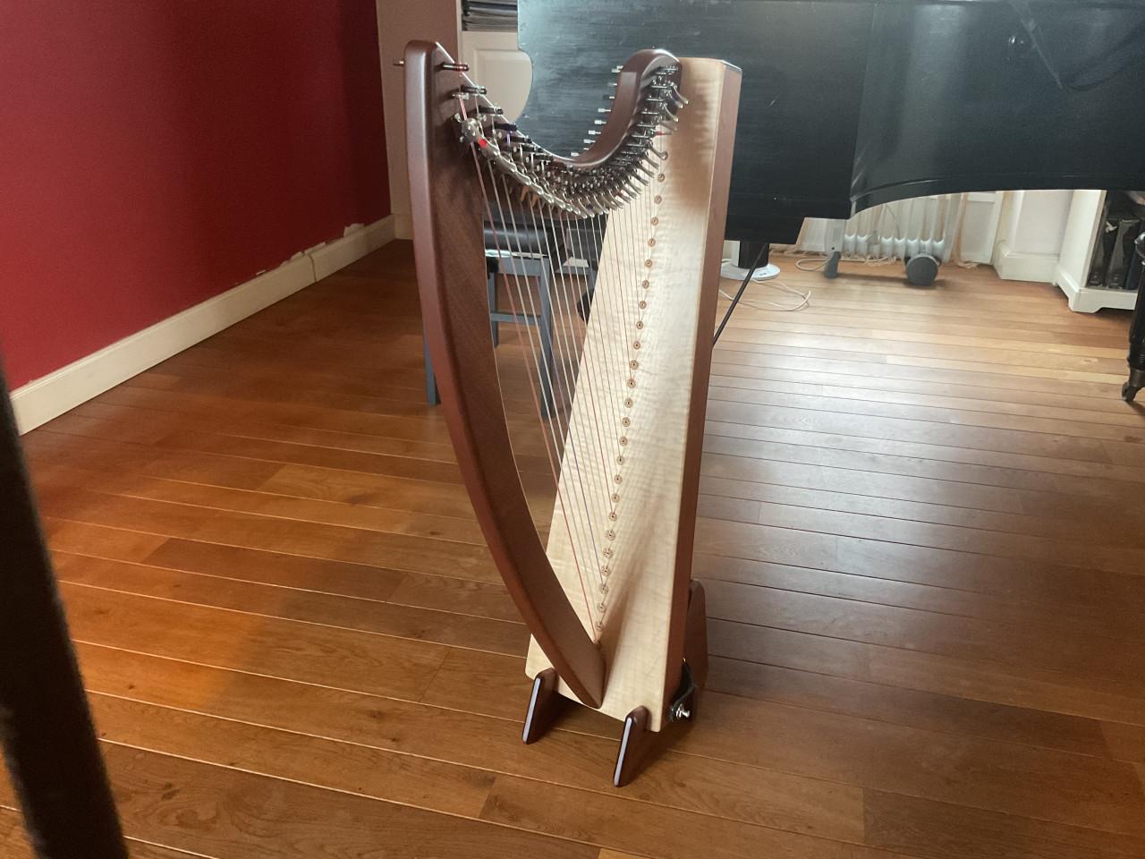 Keltische harp