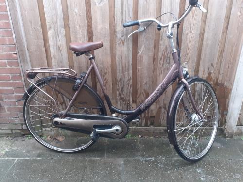 Mooi Hoge Damesfiets SPARTA 61cm - 7 versnelling