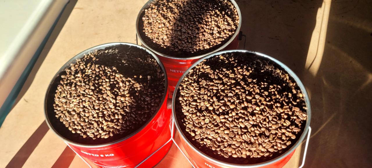 Koffiebonen arabica