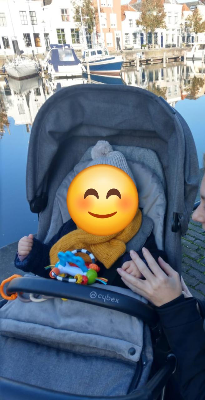 Cybex priam kinderwagen en wandelwagen