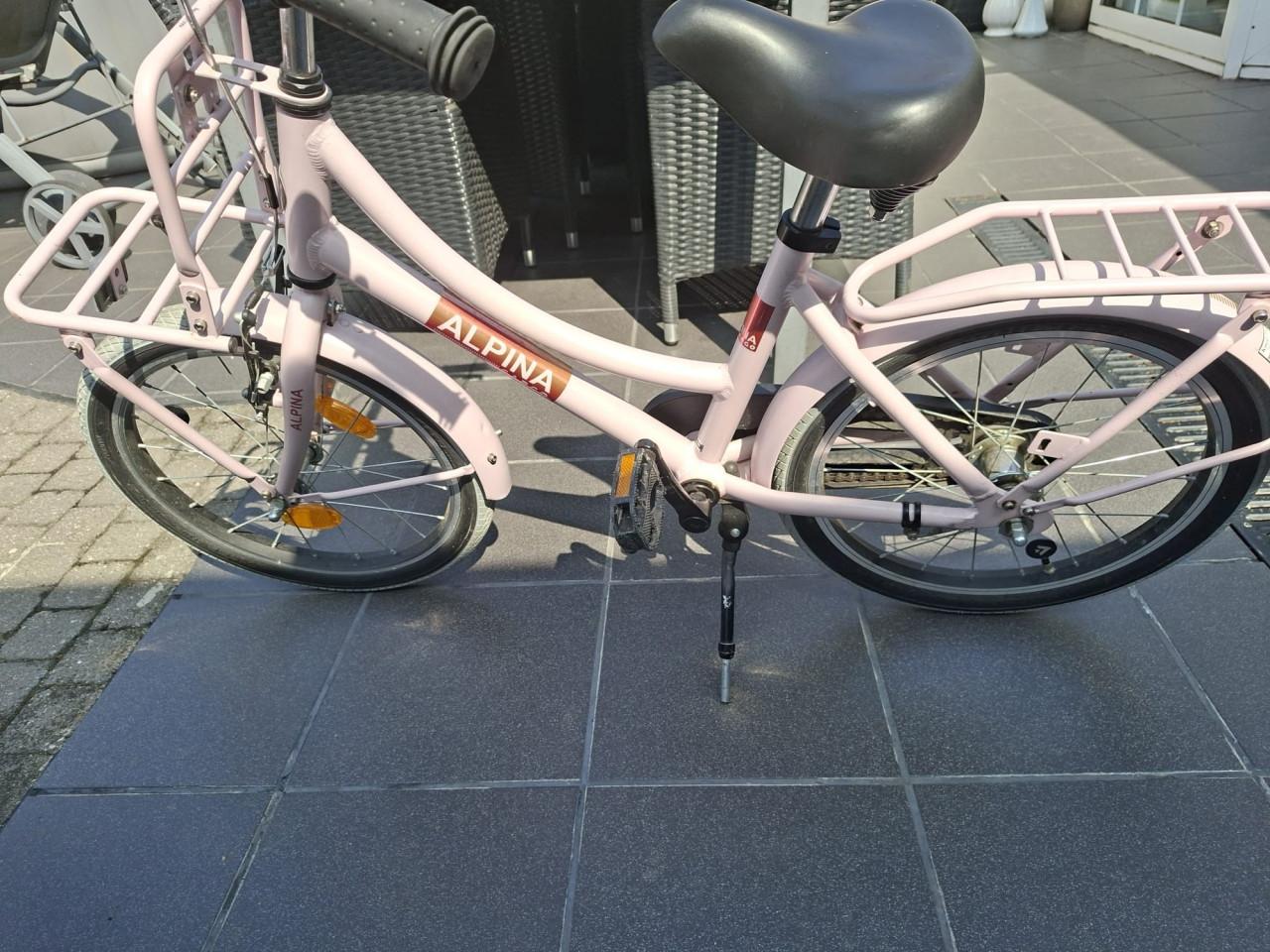 Meisjesfiets Alpina Cargo Roze 18 Inch.