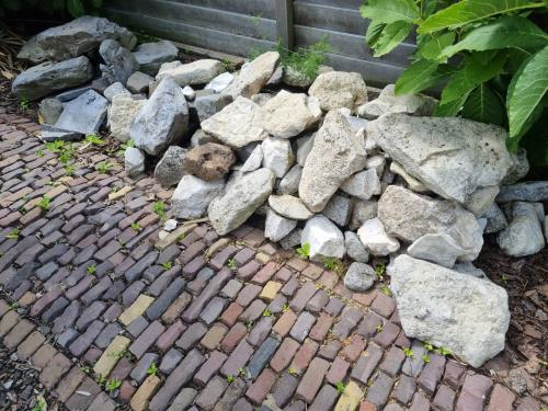Gratis: stenen-keien voor vijverrand, rotstuin of beekje