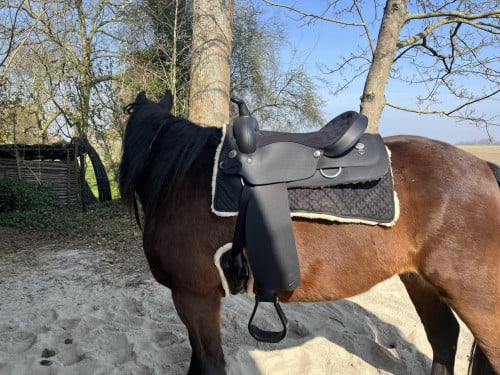 Licht Westernzadel Wintec