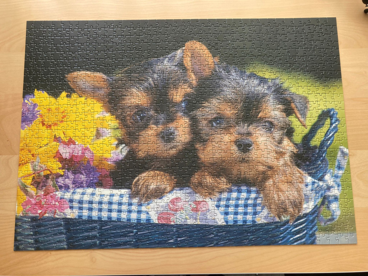 Puppy puzzel