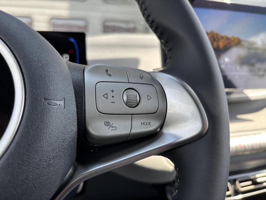 Byd Dolphin Surf active 30 kwh