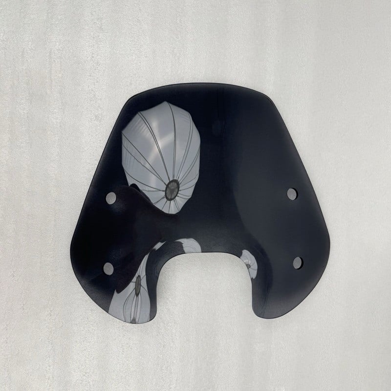 Piaggio Zip Windscherm Nieuw