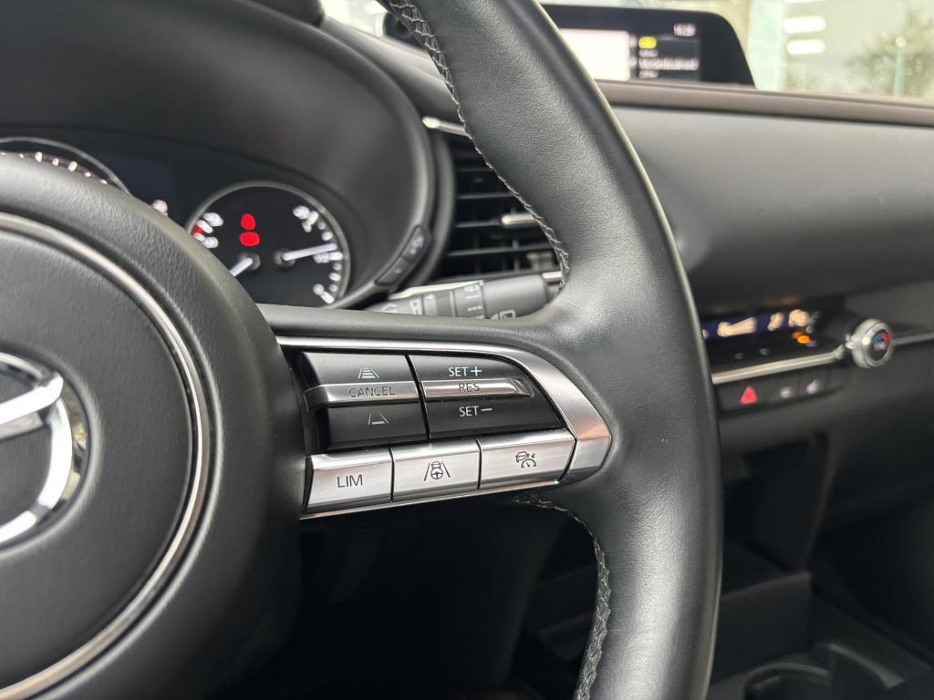 Mazda Cx-30 2.0 e-skyactiv-x m hybrid luxury