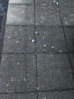 Ca 50 beton tegels 50x50