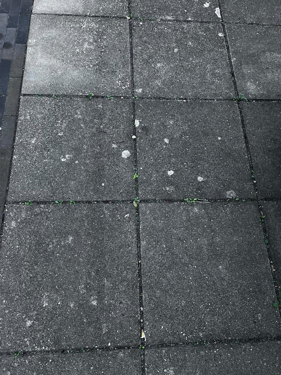 Ca 50 beton tegels 50x50