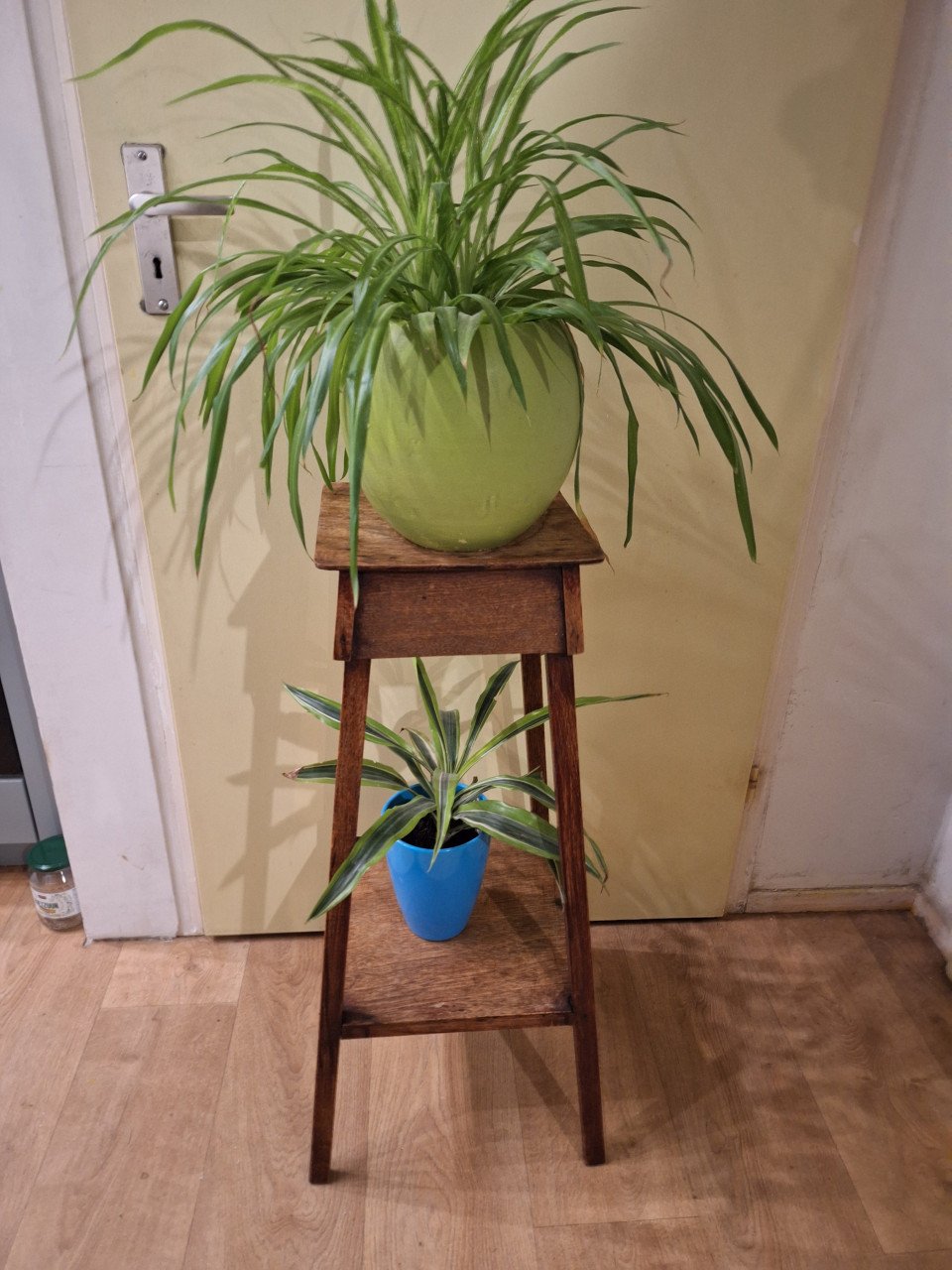 3 plantetafeltjes