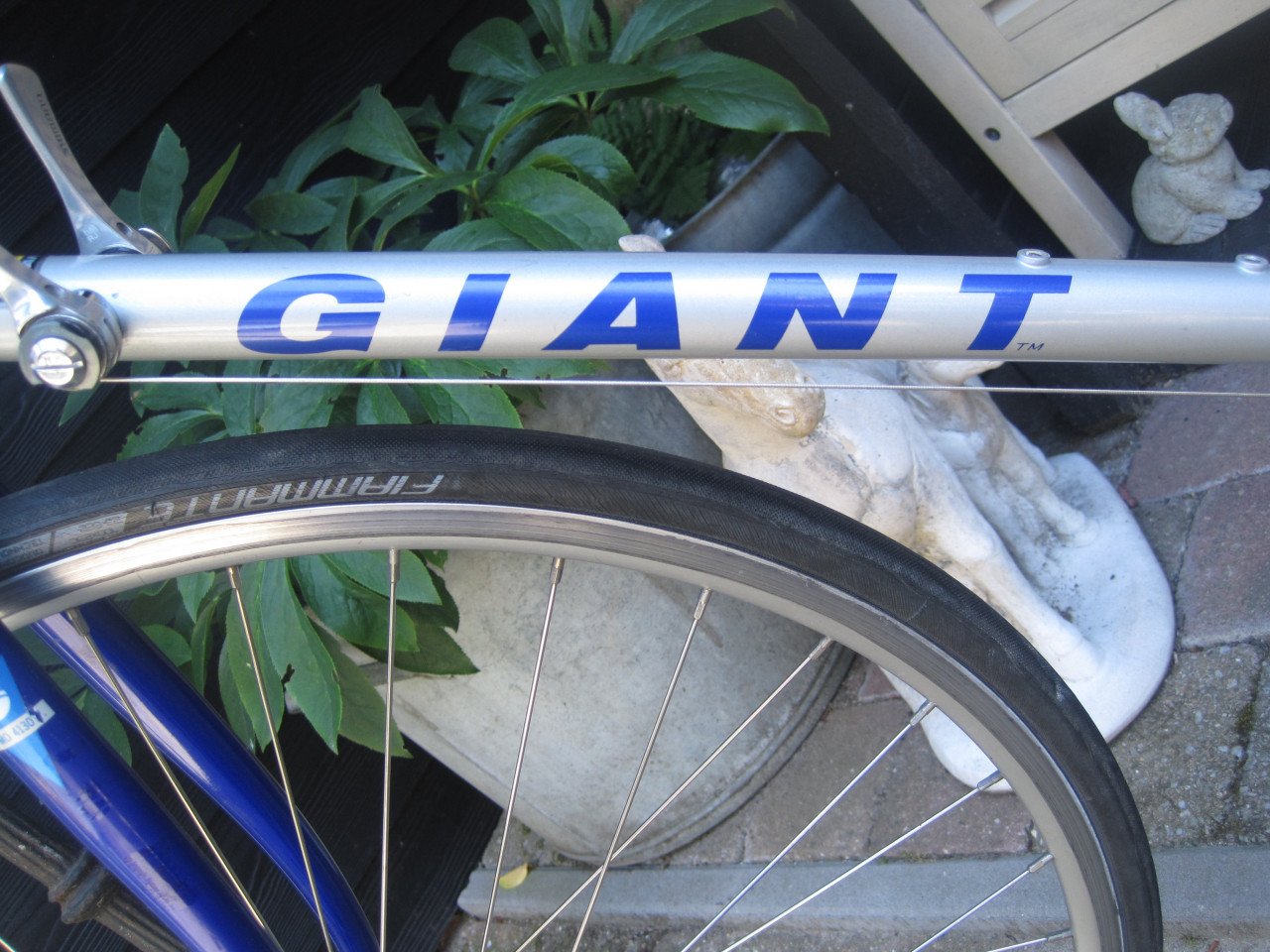Racefiets Giant staal