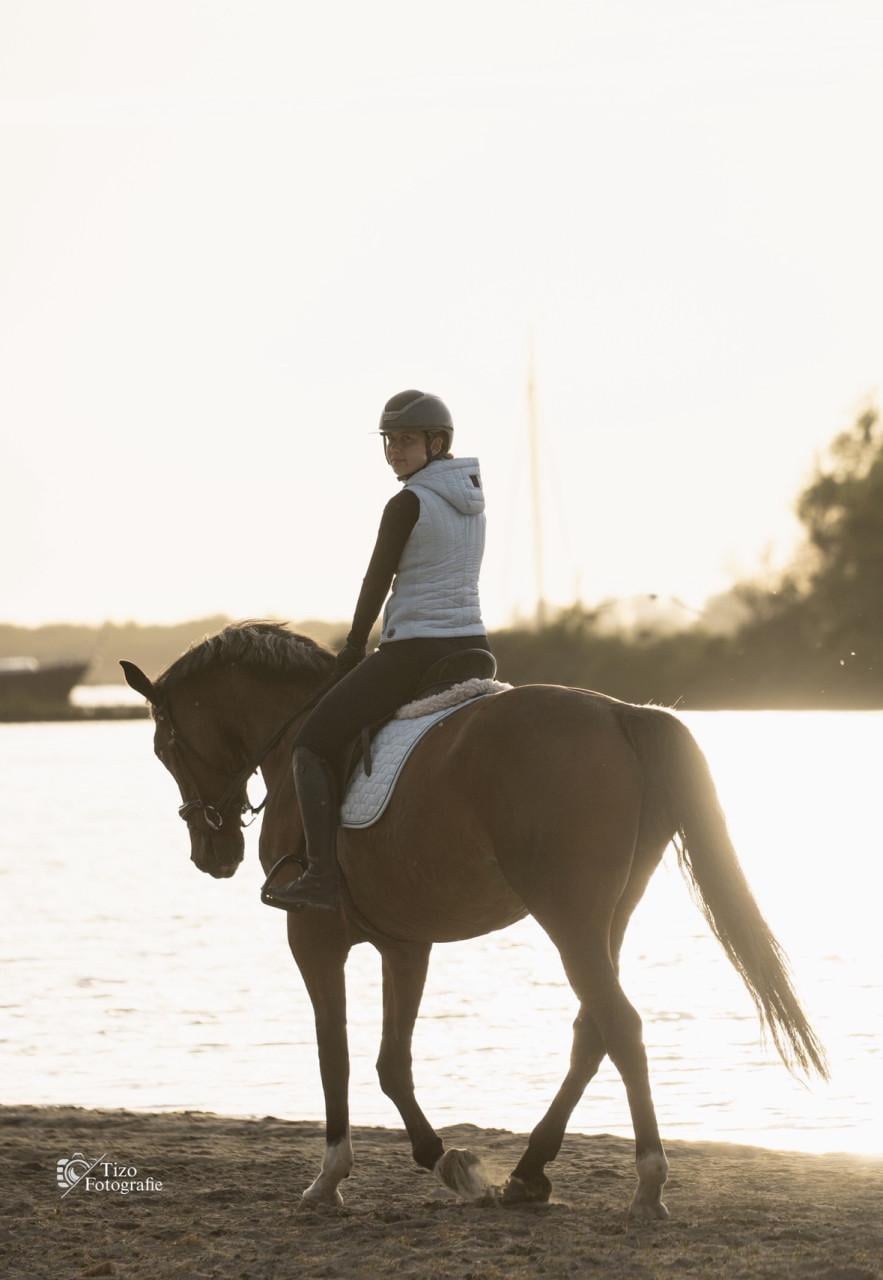 Knappe 5 jarige merrie