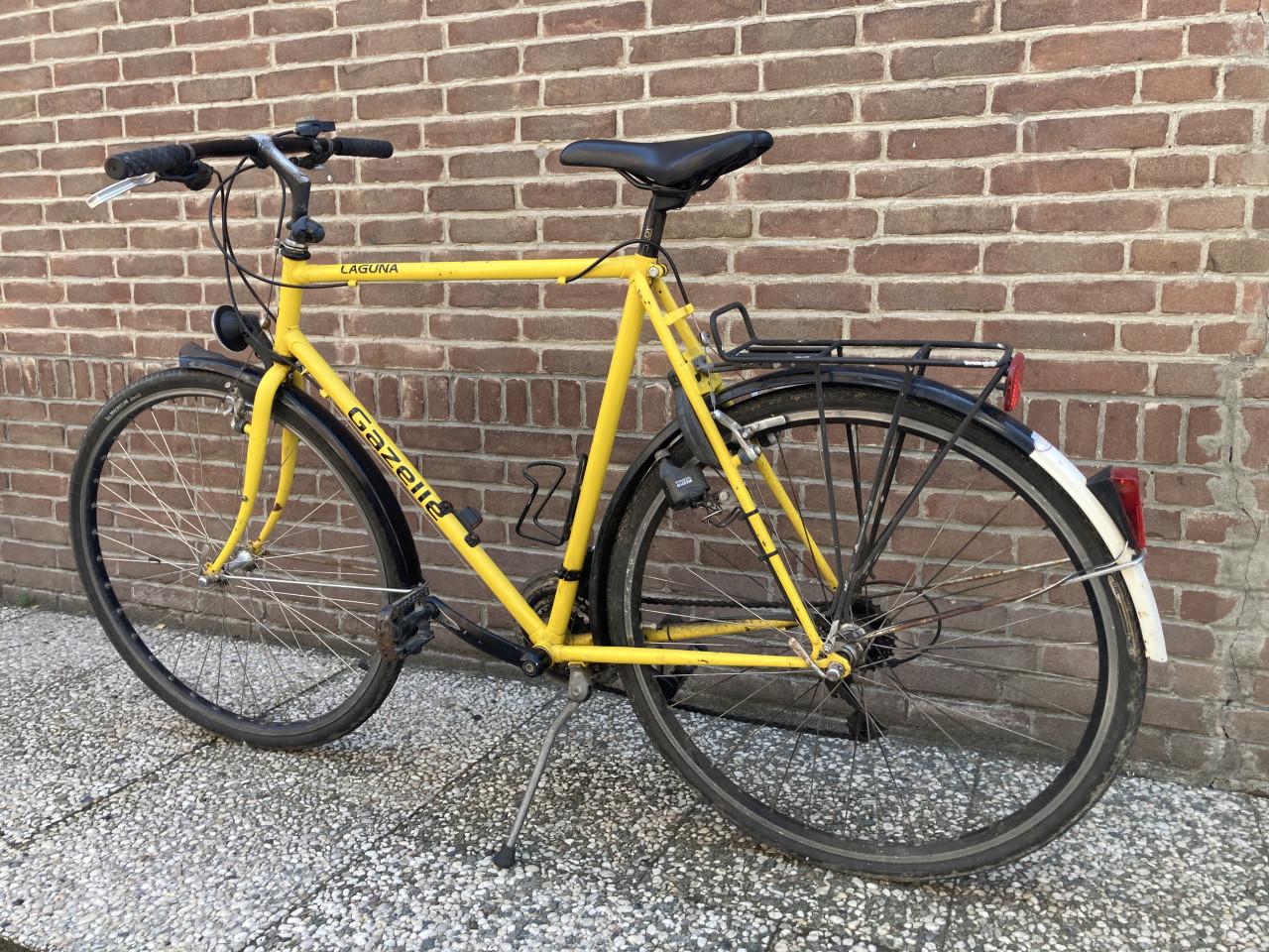 Gazelle Laguna (1996)