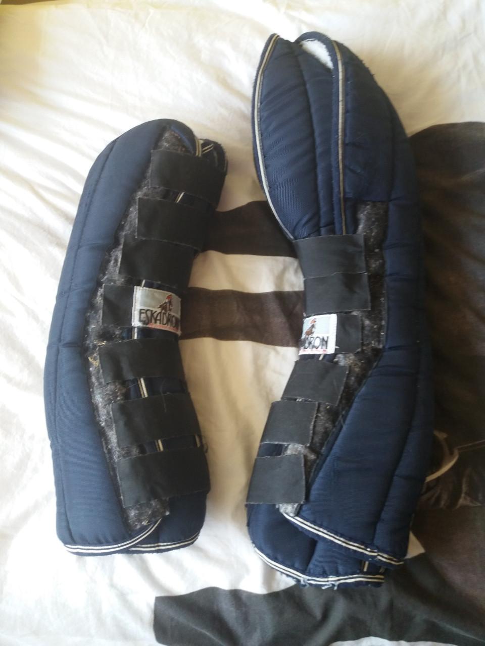 Eskadron transportbeschermers