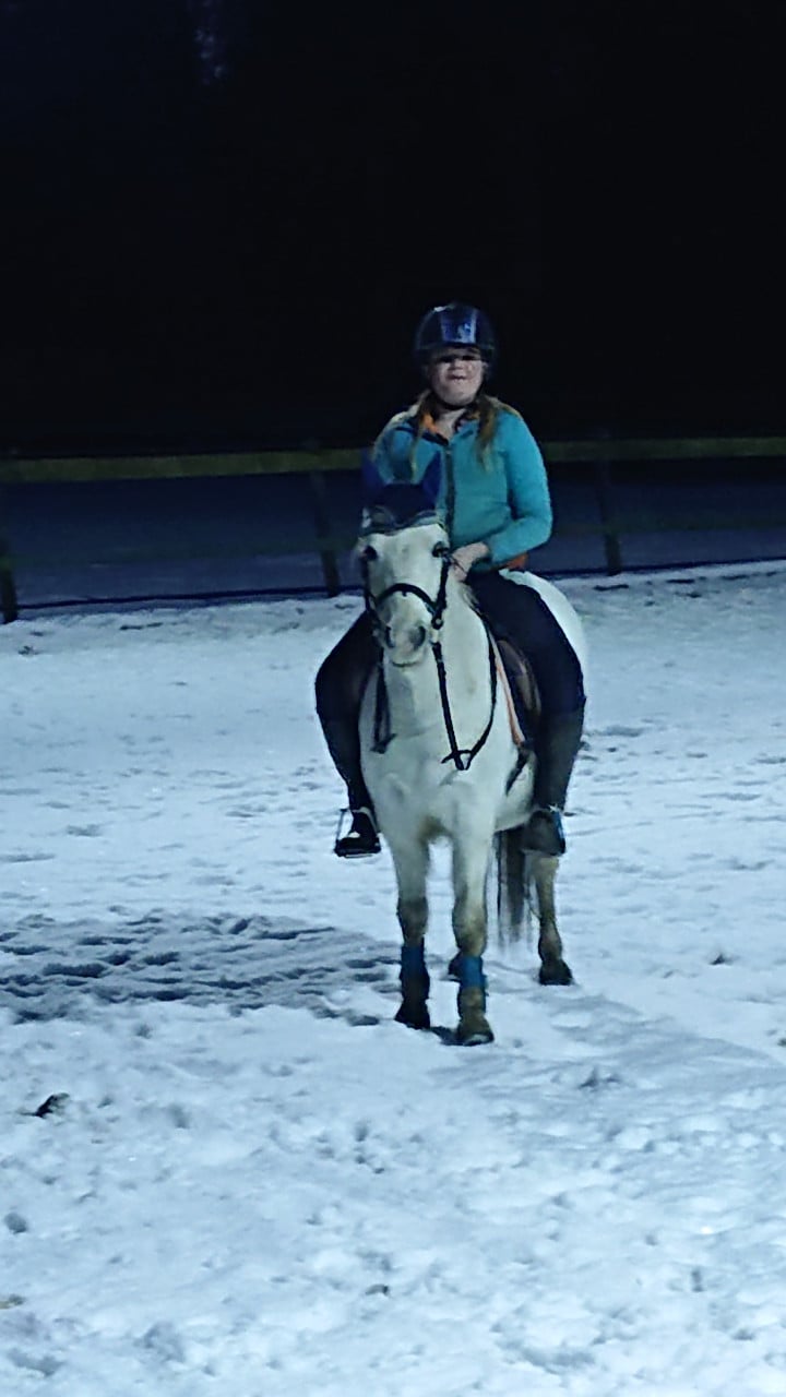 Lieve welsh-B pony