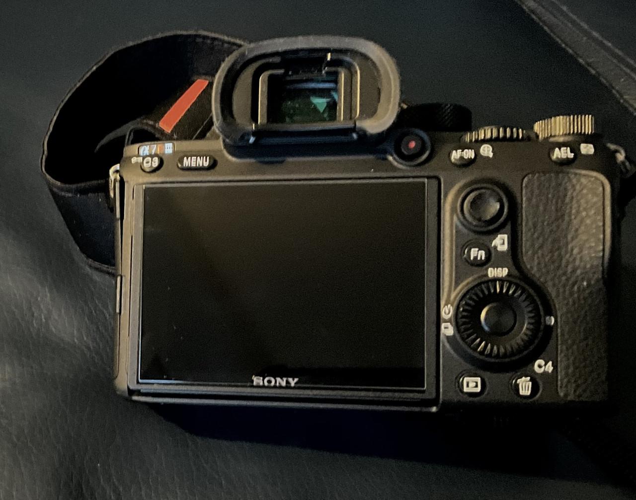 Sony A7Rlll body
