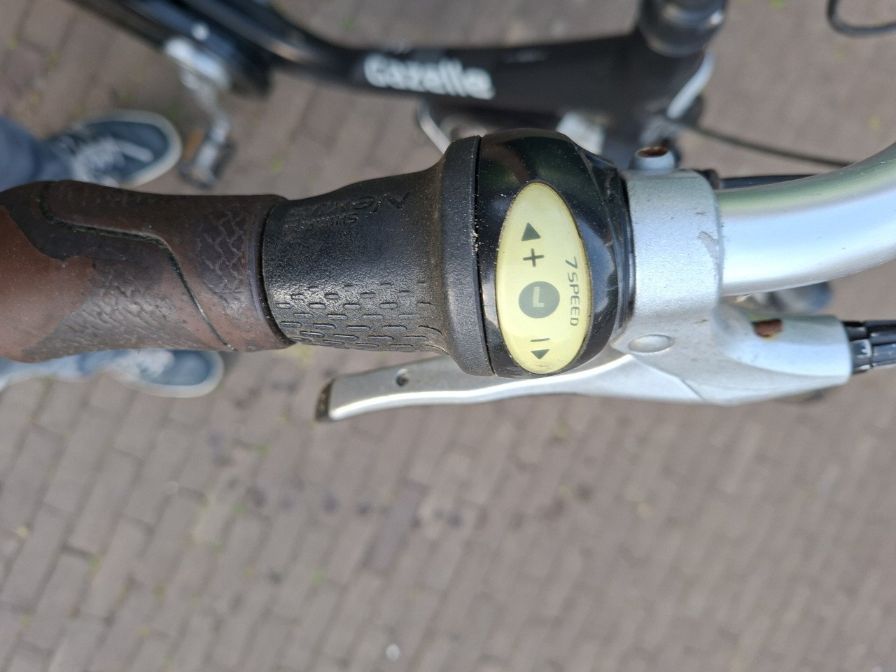 Elektrische damesfiets met swingingwheels