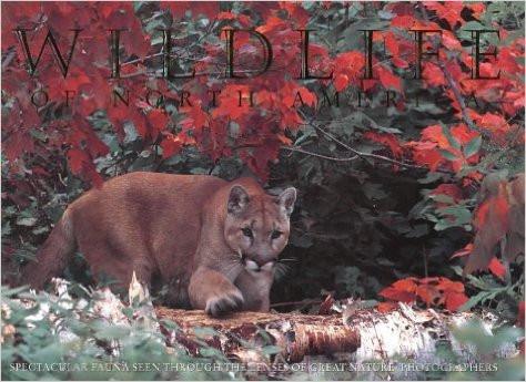 Wildlife of north america Thomas A Lewis