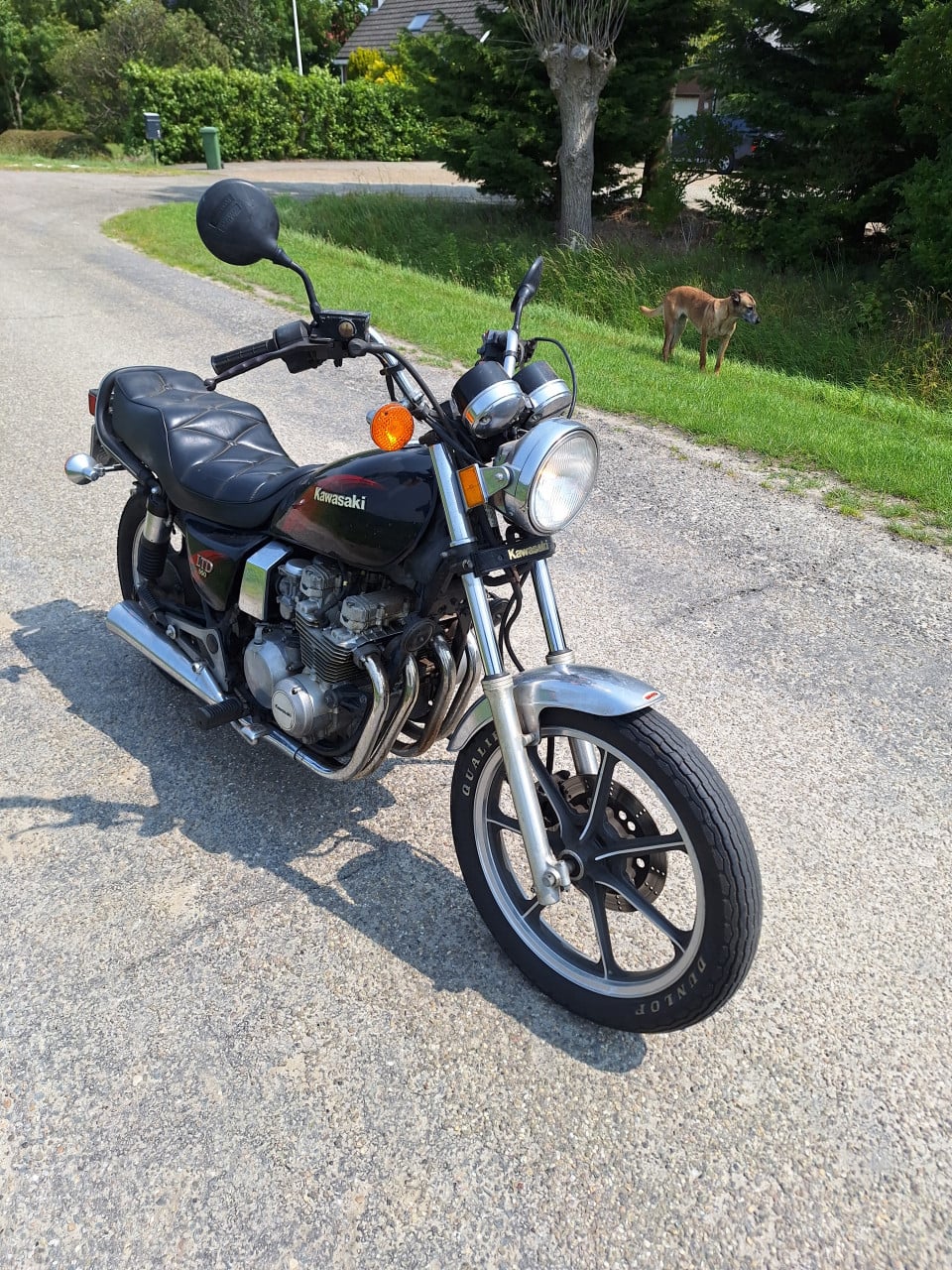 Kawasaki motor