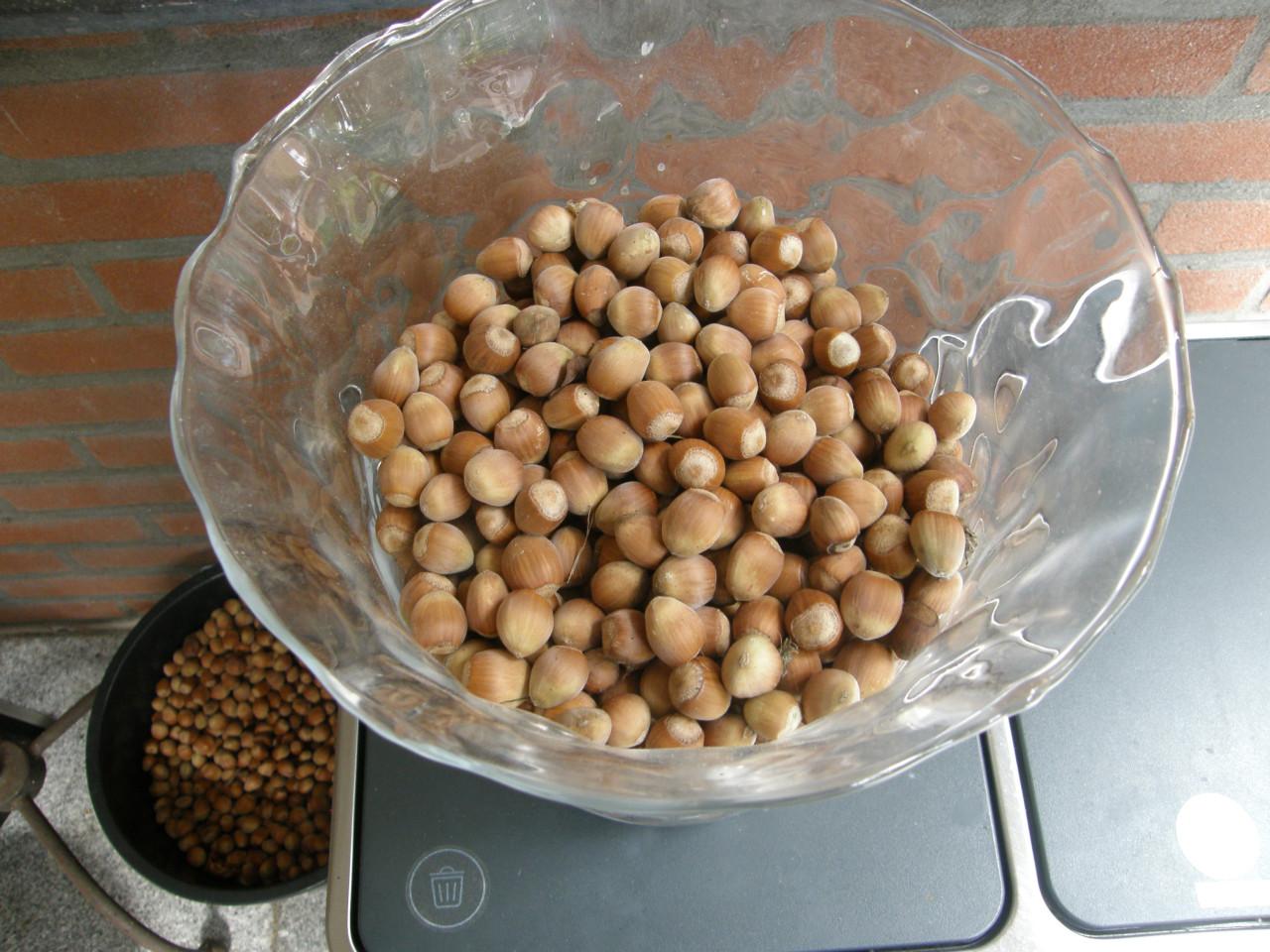 Verse biologische hazelnoten 2026