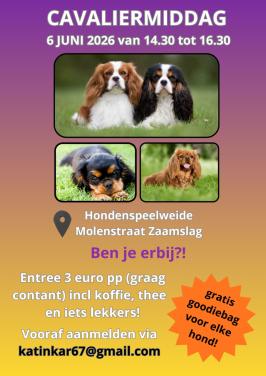 Gezellige Cavaliermiddag 6 juni 2026 in Zaamslag!