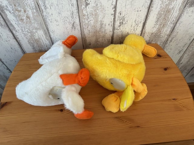 2 leuke eenden.  Ze bewegen en kwekken,