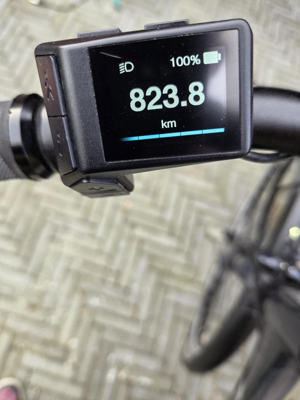 Prachtige Giant Entour E+ Damesfiets (M/51cm) - Slechts 800km op de teller!