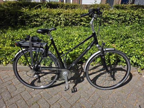 Schitterende Multicycle elektrische fiets