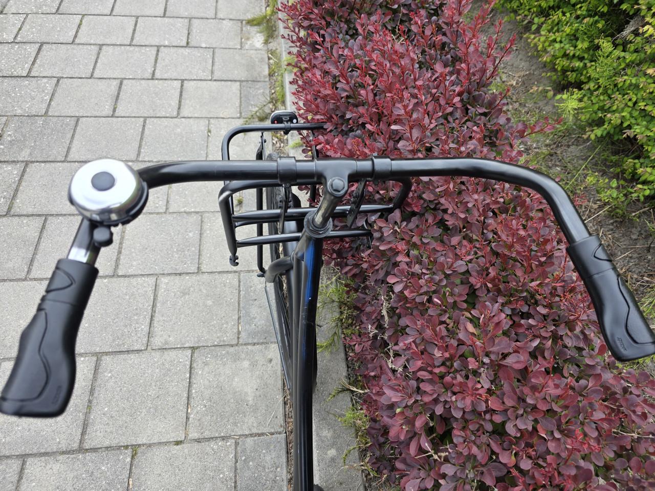 HOLLANDIA | BLACK MAMBA | 28 INCH | FRAME 56 CM