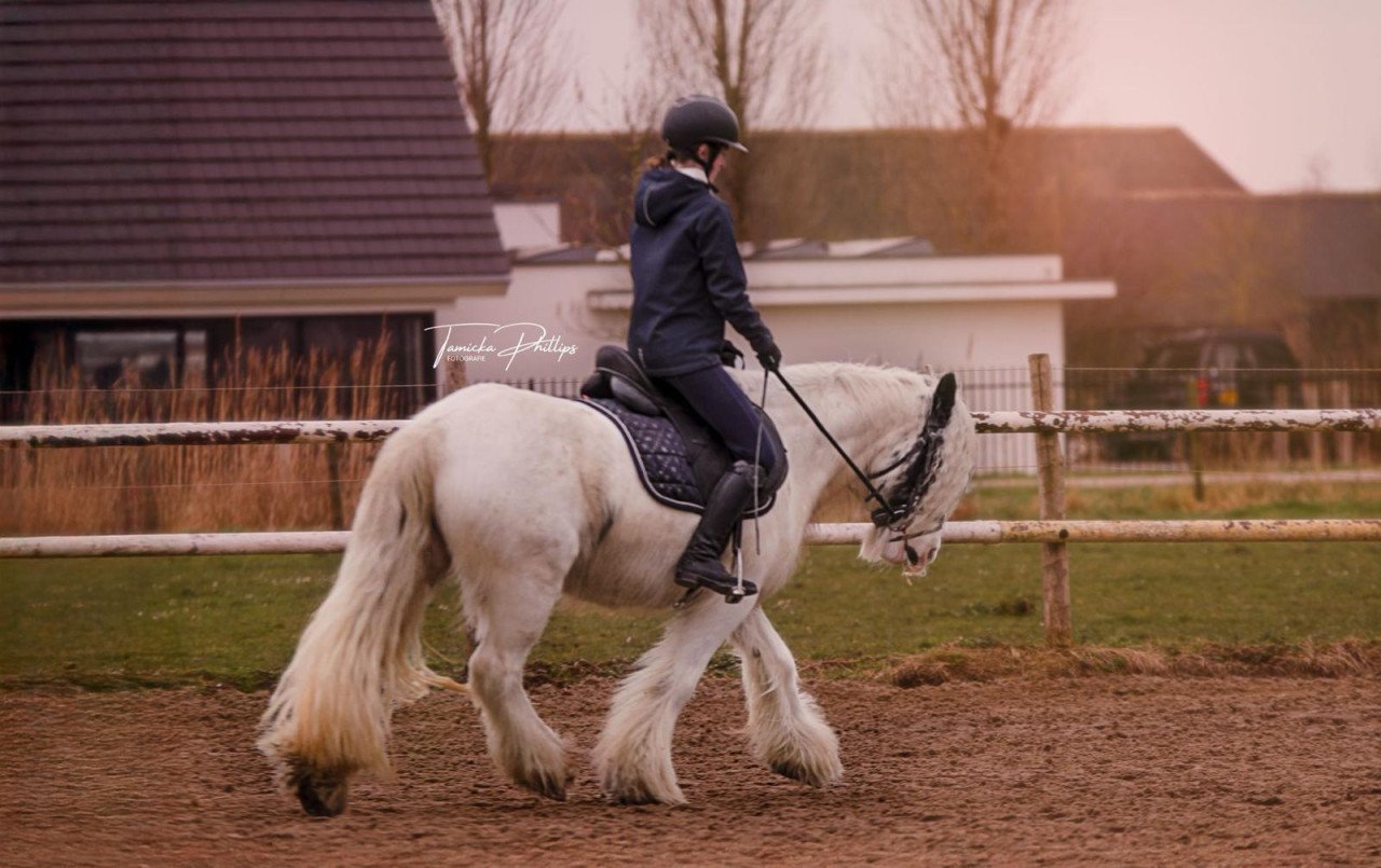 Lieve sprookjespony