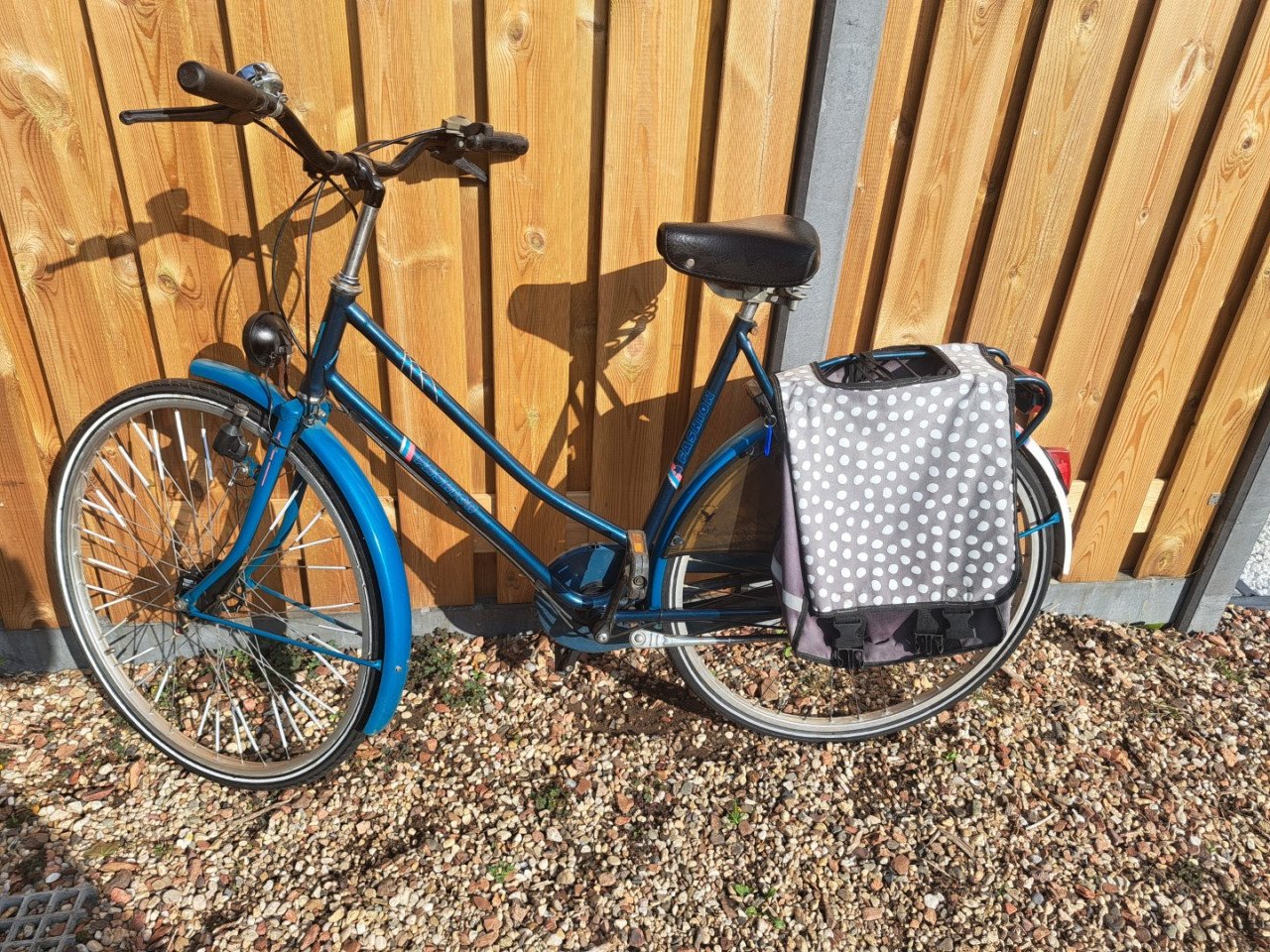 Dames Fiets