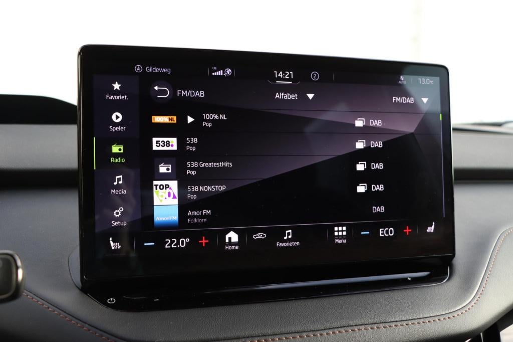 Skoda Enyaq Iv 80 limited edition plus 204pk