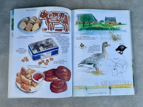 Diverse Verkade plaatjesboeken en meer. Zie foto’s