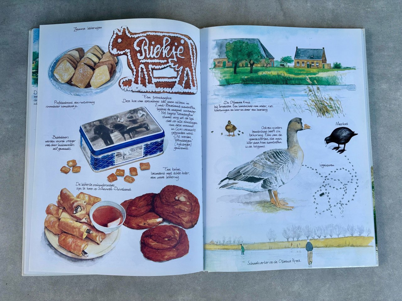 Diverse Verkade plaatjesboeken en meer. Zie foto’s