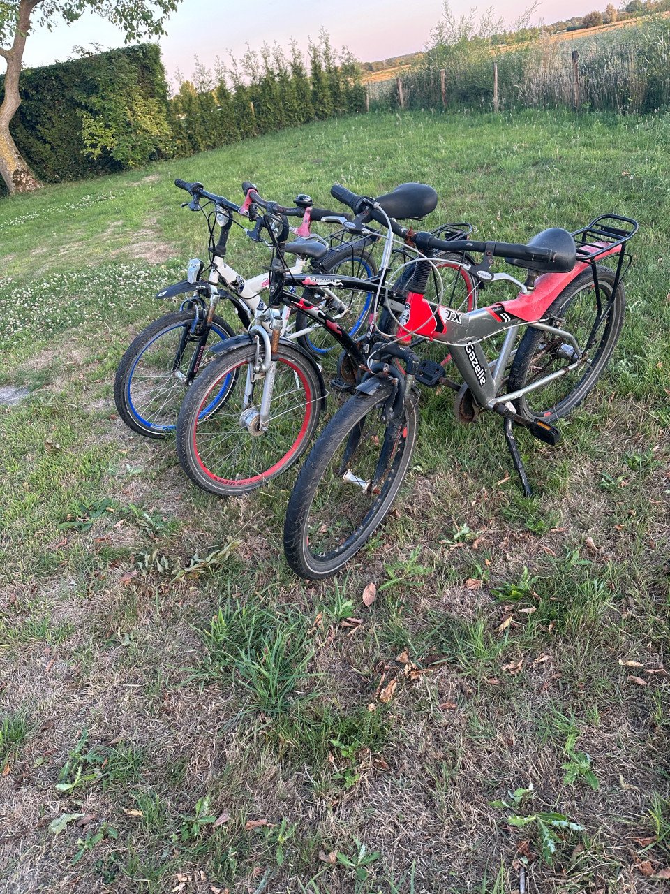 Jongensfietsen