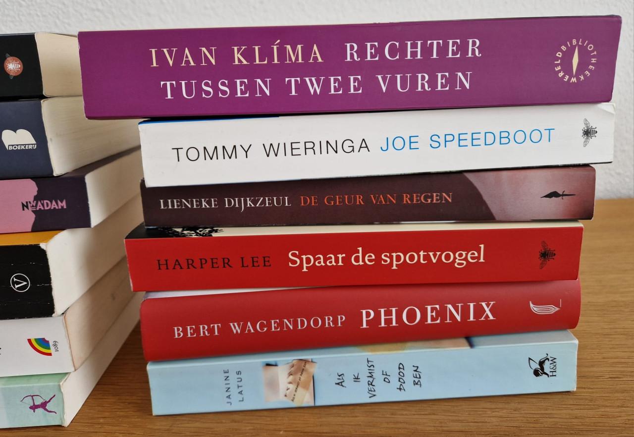 Literatuur en romans