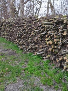 APPELHOUT op stammen van  1.0 a 1.2 meter