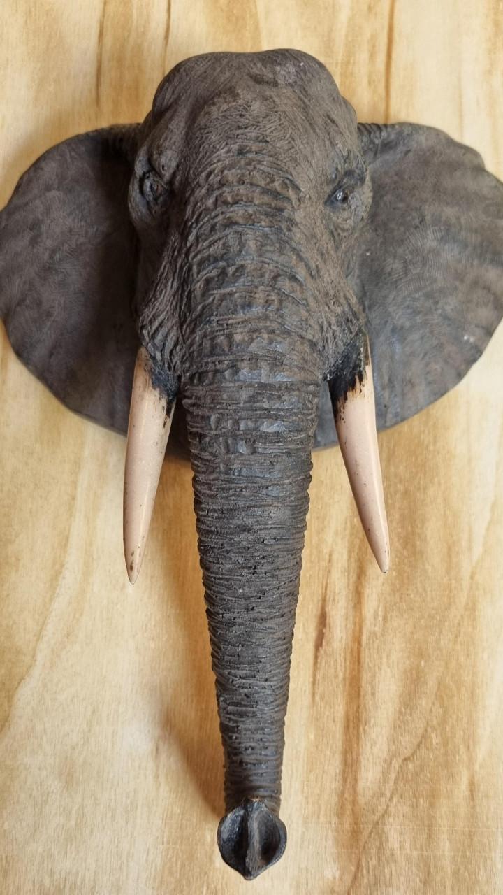 MOOIE OLIFANTENHOOFD (wanddecoratie)